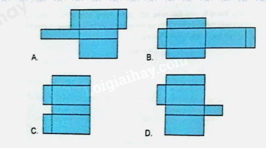 Hình ảnh minh họa các hình khai triển