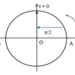 Vị trí vật trong dao động điều hòa