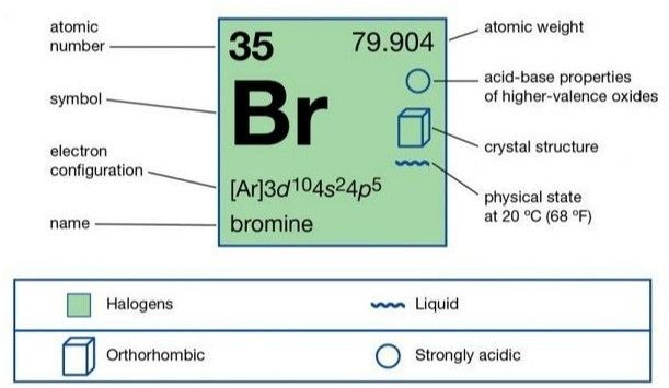 So sánh phân tử khối của các halogen, thể hiện rõ vị trí của Bromine (Br2)