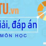 Đàn cò trắng chao liệng trên bầu trời