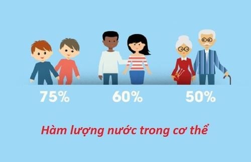 Tỷ lệ nước trong cơ thể người thay đổi theo độ tuổi