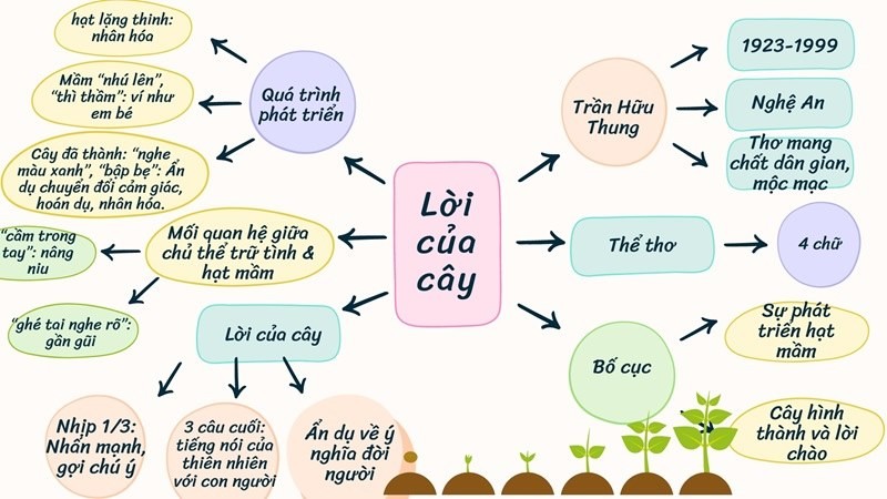 Sơ đồ tư duy lời của cây