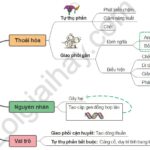 Tự thụ phấn làm giảm sự đa dạng di truyền