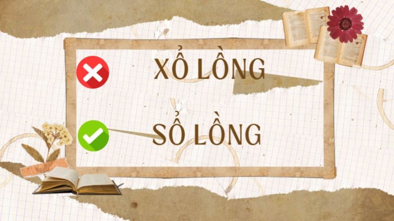 Sổ lồng là cách viết đúng chính tả trong tiếng Việt