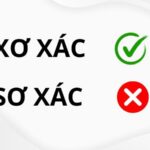 Ảnh minh họa sự khác biệt giữa xơ xác và sơ xác trong tiếng Việt