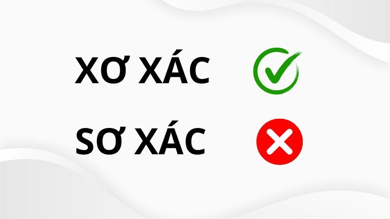 Ảnh minh họa sự khác biệt giữa xơ xác và sơ xác trong tiếng Việt
