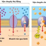 Hiện tượng khuếch tán trong không khí