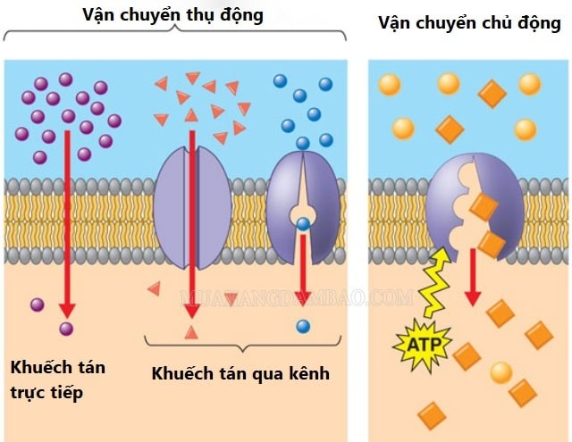 Hiện tượng khuếch tán trong không khí
