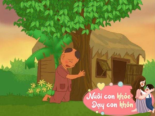 Hình ảnh minh họa cây vú sữa với những trái ngọt