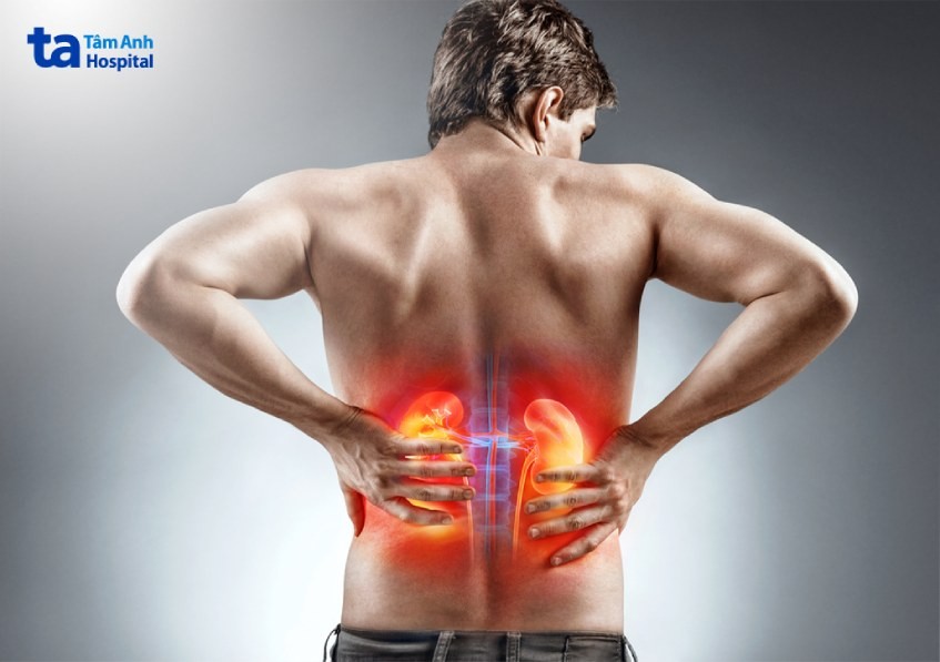 suy thận có thể cấp tính hoặc mãn tính