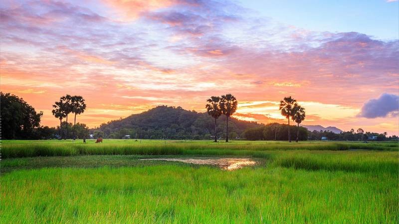 Ảnh phong cảnh làng quê cho máy tính