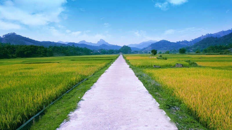 Ảnh phong cảnh làng quê cho máy tính