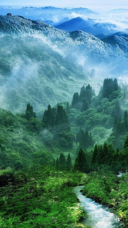 Ảnh núi rừng cho điện thoại