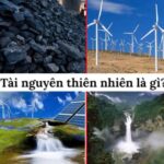Tai nguyên thiên nhiên là gì