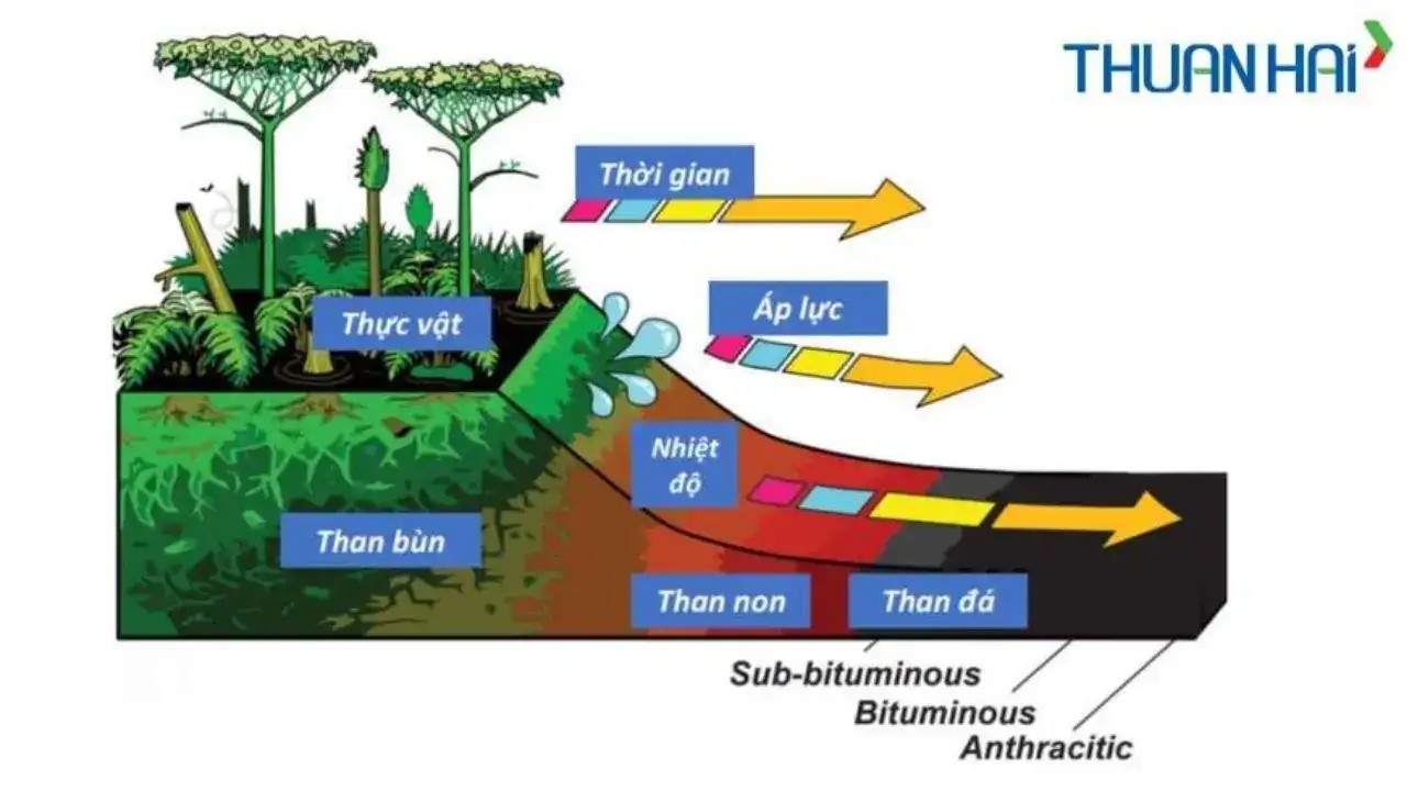 Hình ảnh than đá tự nhiên
