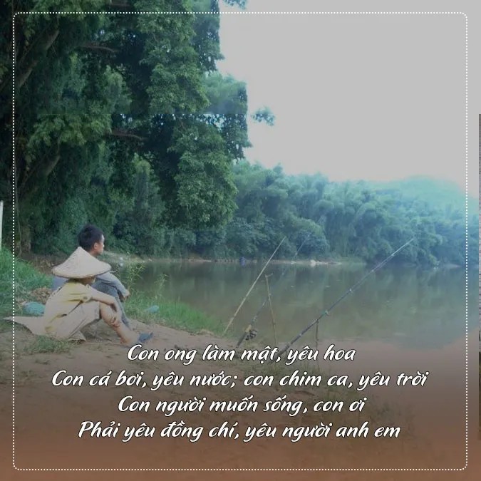 Ca dao, tục ngữ về câu cá chứa đựng kinh nghiệm và bài học