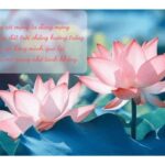 Thơ 4 dòng về triết lý cuộc sống
