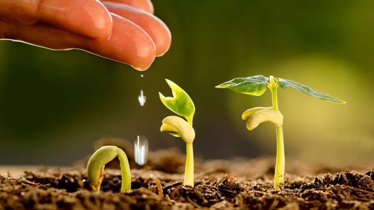 Một người đàn ông lớn tuổi đang ngồi một mình trên ghế dài trong công viên, nhìn ra hồ nước yên bình, thể hiện sự suy tư và chiêm nghiệm về cuộc sống