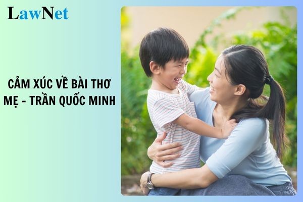 Mẫu đoạn văn ghi lại cảm xúc về bài thơ mẹ của Trần Quốc Minh Quy định về nhiệm vụ của học sinh lớp 6