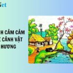 Cánh đồng lúa chín vàng ở quê hương