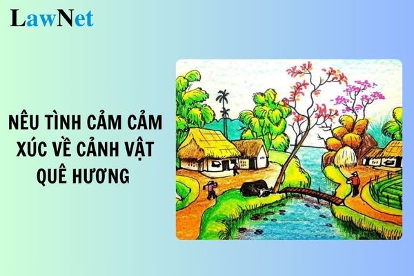 Cánh đồng lúa chín vàng ở quê hương