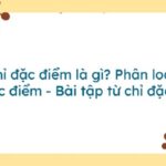 Chiếc xe tải màu đỏ nổi bật trên đường