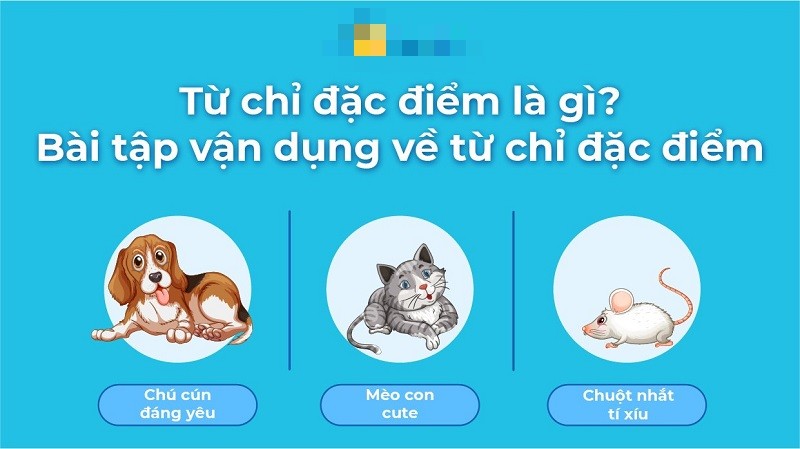 Luyện tập thường xuyên giúp nắm vững kiến thức hiệu quả về từ chỉ đặc điểm