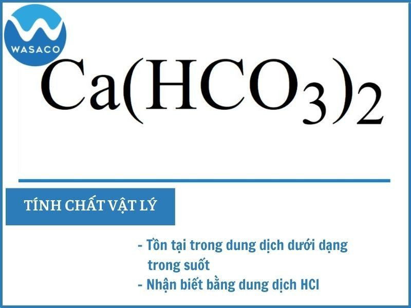 Ca(HCO3)2 tồn tại trong dung dịch