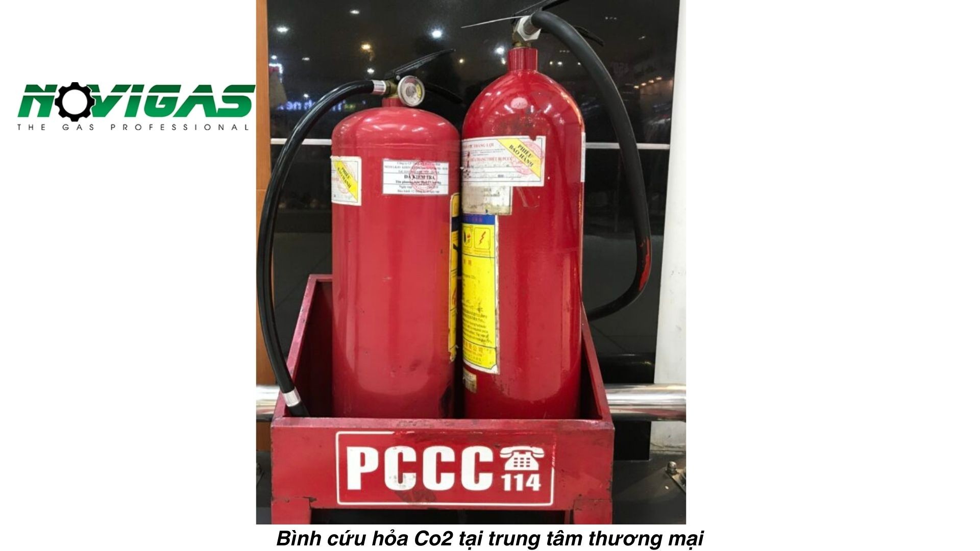 Tính chất vật lý và hóa học của CO2 có điểm đặc biệt gì hình 13