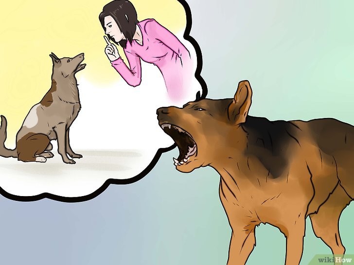 Đánh Giá Mức Độ Nguy Hiểm: Khả Năng Nhận Biết Tinh Tế
