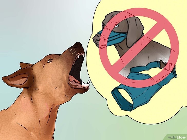 Sức Khỏe Thể Chất: Bệnh Tật Gây Khó Chịu