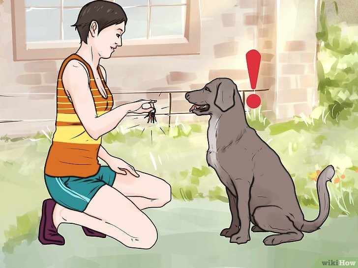 Thiếu Kiên Nhẫn: Chìa Khóa Của Thành Công