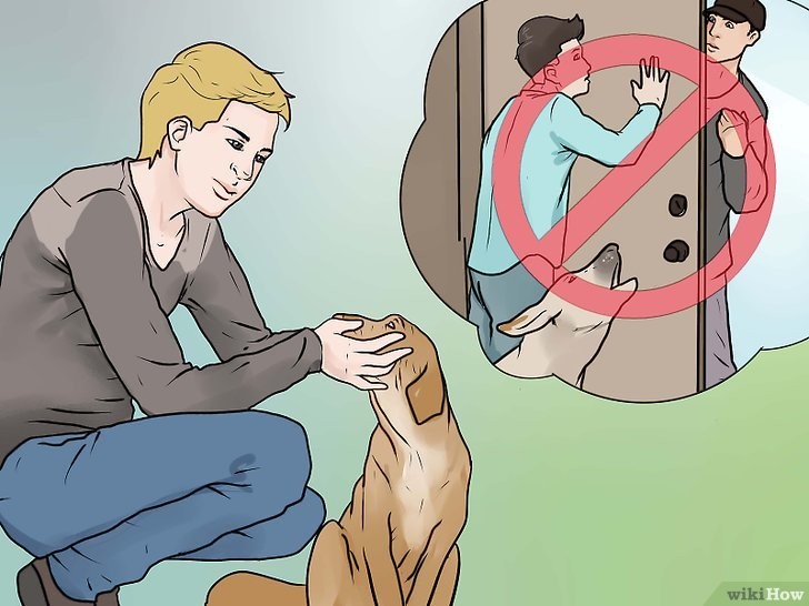 Sủa Kèm Các Triệu Chứng Bệnh Lý: Không Nên Chủ Quan