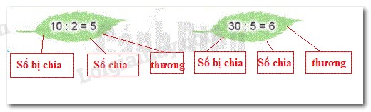 Số chia, số bị chia và thương trong phép chia