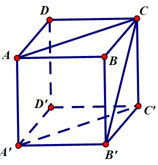 Góc giữa AB và B'C' trong hình lập phương