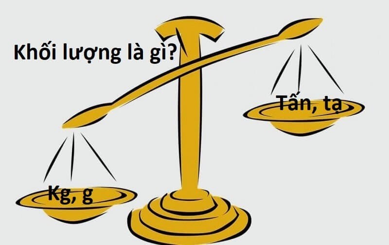 Các loại cân sử dụng để đo trọng lượng xe tải và hàng hóa