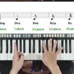 Nốt móc đơn và giá trị trường độ trong âm nhạc, thể hiện qua hình ảnh minh họa trực quan