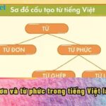 Từ Hán Việt là gì, Khái niệm từ hán việt
