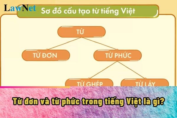 Từ Hán Việt là gì, Khái niệm từ hán việt