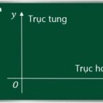minh họa trục tung và trục hoành trong hệ tọa độ