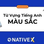 Màu sắc trong cuộc sống