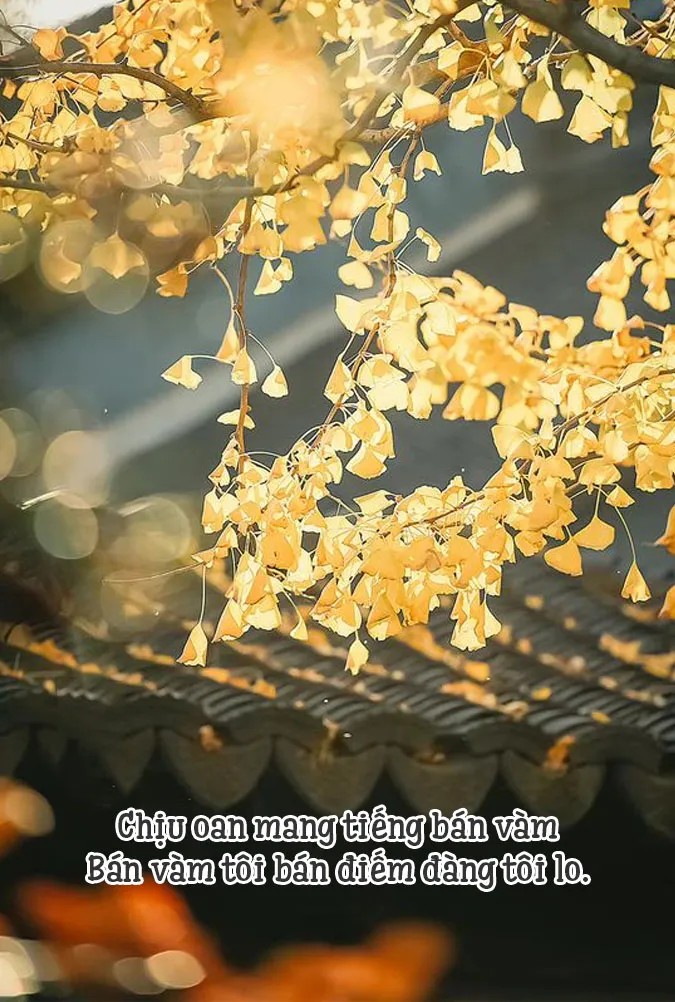 tuc-ngu-ve-su-that-3