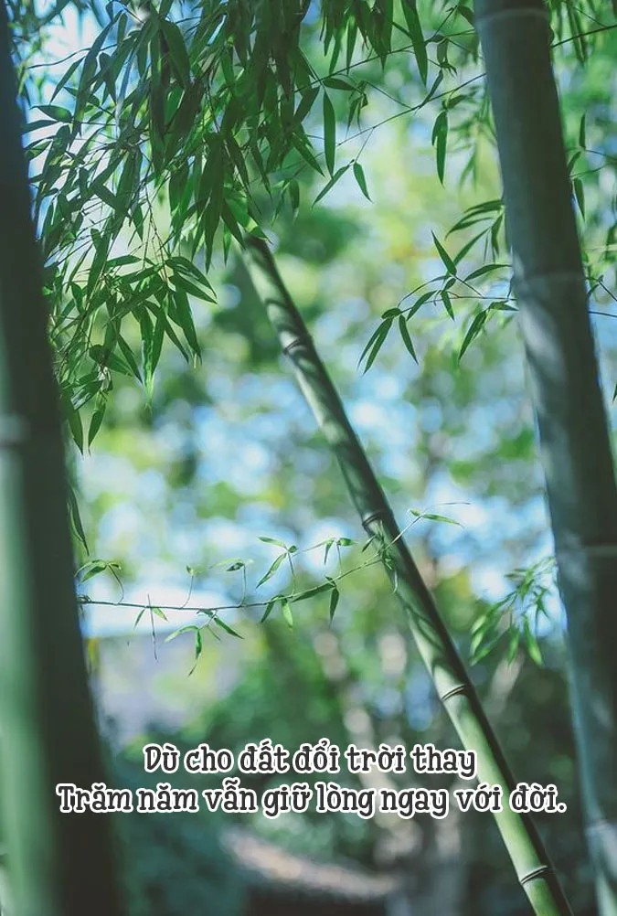 nguoi-that-tha