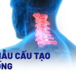 tủy sống nằm trong cột sống