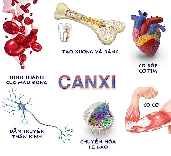 Ứng dụng của canxi trong đời sống và công nghiệp
