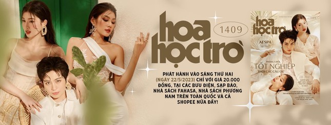 các từ ngữ thay thế n-word