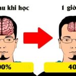 Lý do chúng ta luôn học trước quên sau và bí kíp để ghi nhớ siêu như máy tính - Ảnh 1.