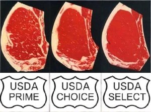 Phân loại thịt bò theo tiêu chuẩn USDA