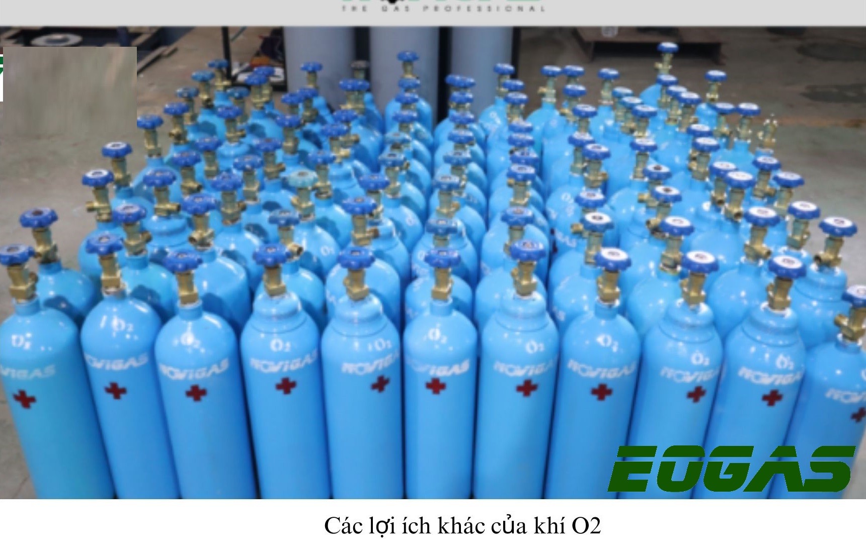 Xe Tải Mỹ Đình - Giải pháp vận tải toàn diện