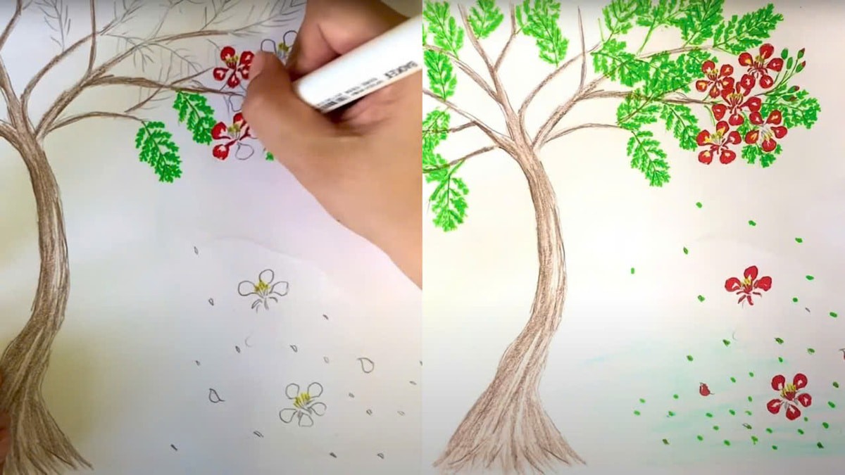 Các bước vẽ cây phượng đơn giản bằng bút chì - Bước 4